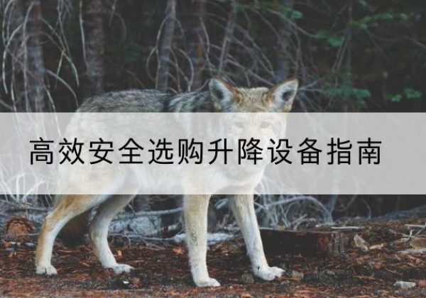 永春升降货梯厂家推荐-*安全选购升降设备指南