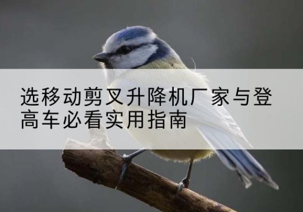 永春电动升降机厂家-选移动剪叉升降机厂家与登高车必看实用指南
