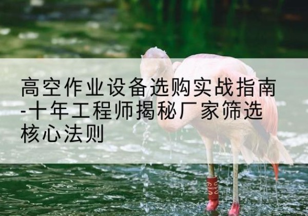 永春剪叉式升降机厂家-高空作业设备选购实战指南-十年工程师揭秘厂家筛选核心法则