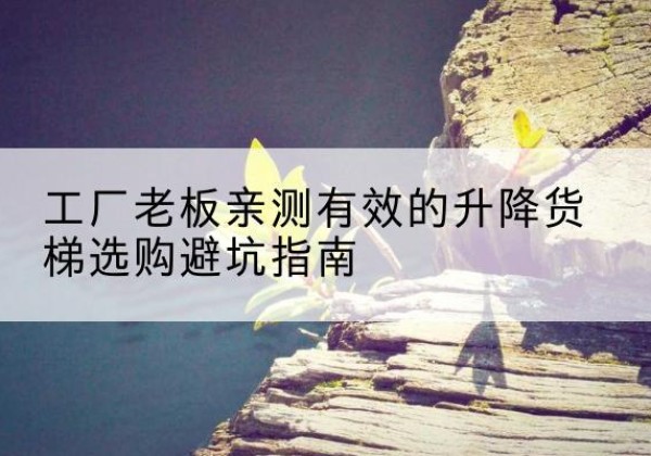 永春升降货梯怎么选-工厂老板亲测有效的升降货梯选购避坑指南